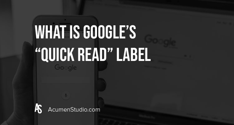 Google Quick Read Label for SEO in Search